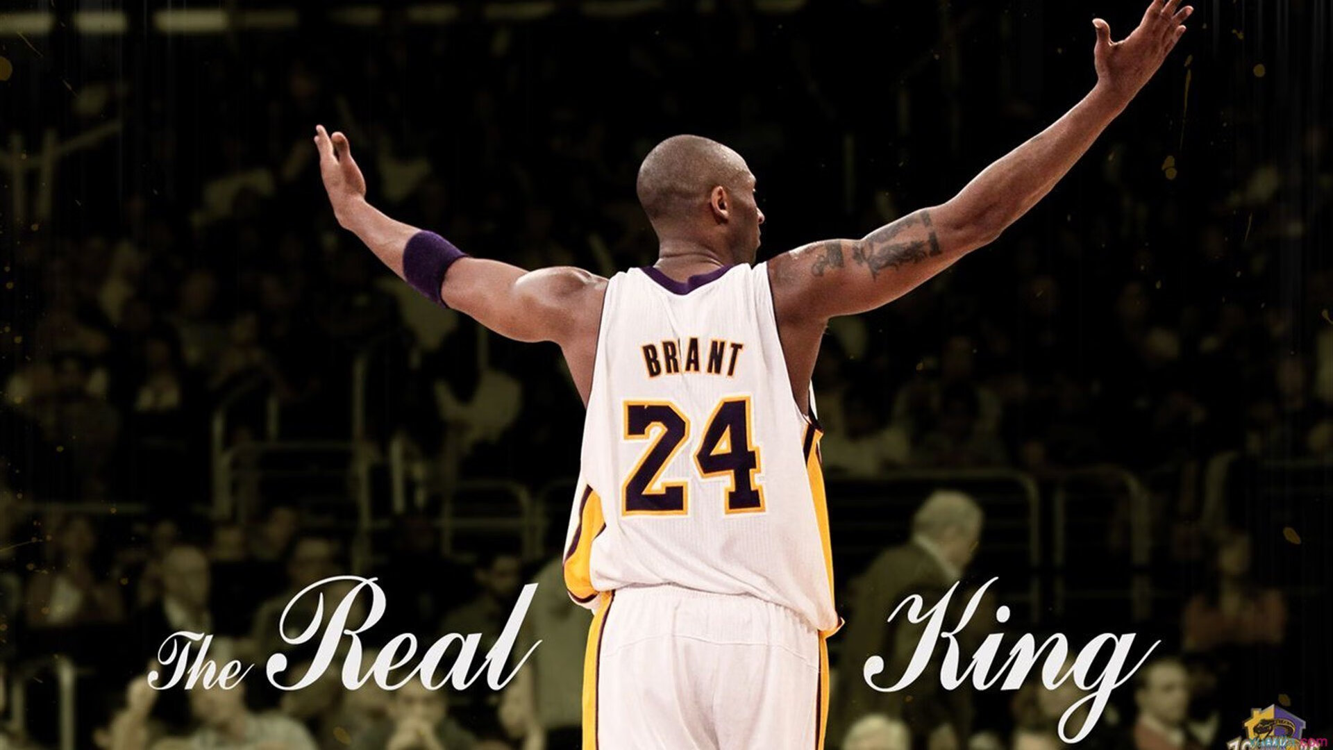 熊猫直播-奥运周期关键战之夜，哈利伯顿如何以节奏大师之姿带动全队